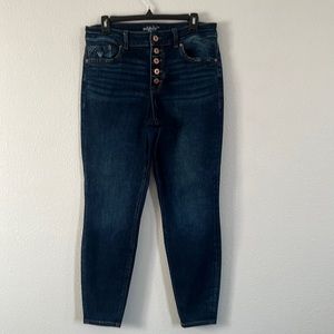 Edgely Skinny High Rise Button Fly Jean